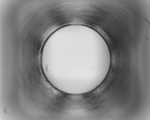 X0000103270856200808291238