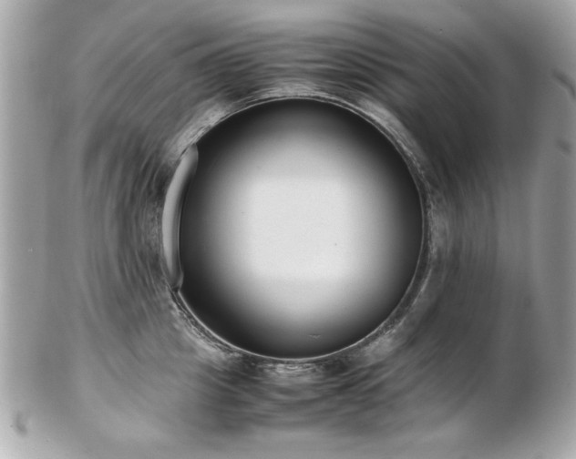 X0000103270857200808291238