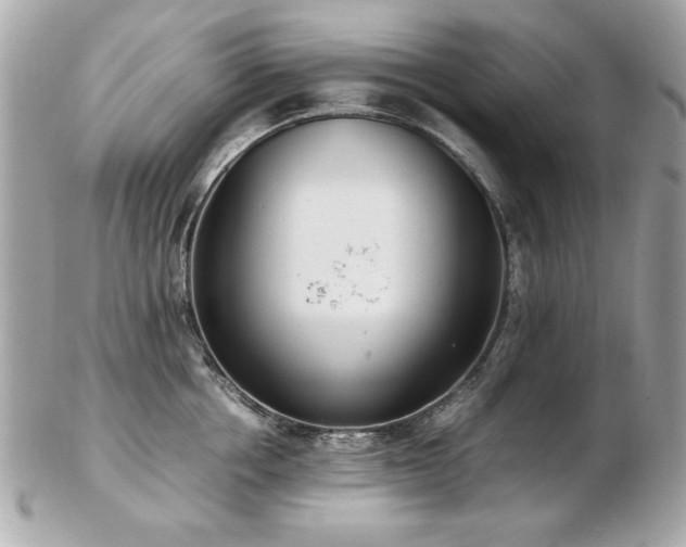 X0000103270858200808291238