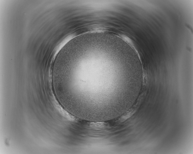 X0000103270859200808291238