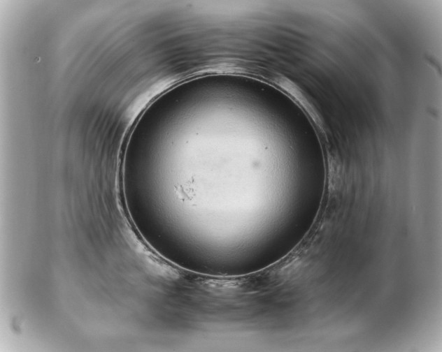 X0000103270861200808291238