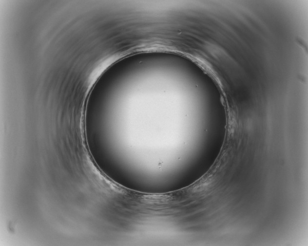 X0000103270863200808291238