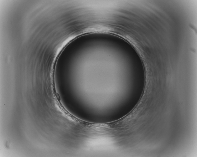 X0000103270864200808291238