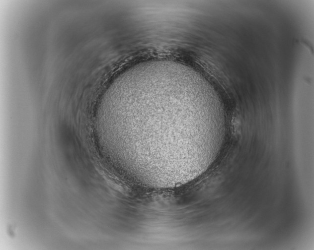 X0000103270865200808291238