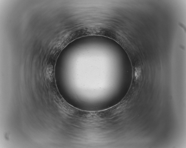 X0000103270867200808291238