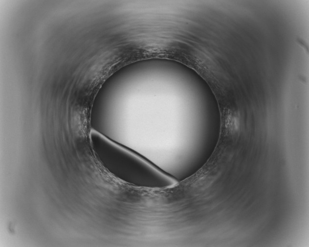 X0000103270868200808291238