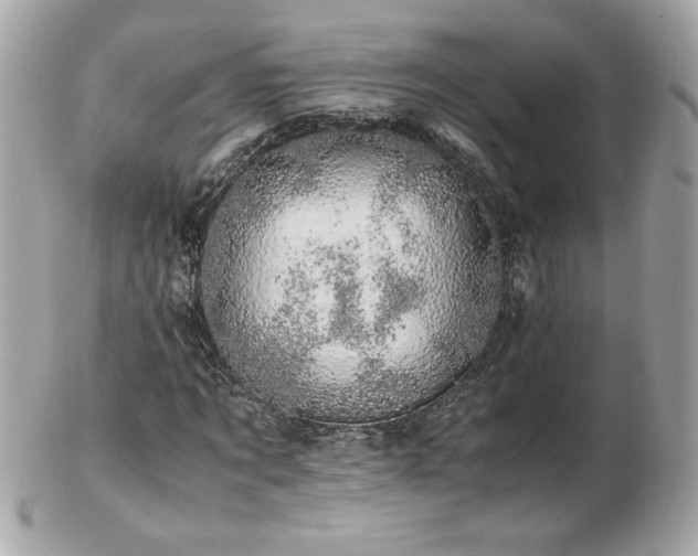 X0000103270869200808291238