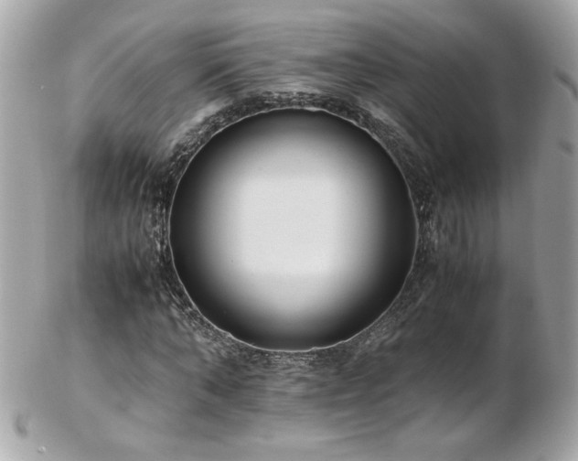 X0000103270870200808291238