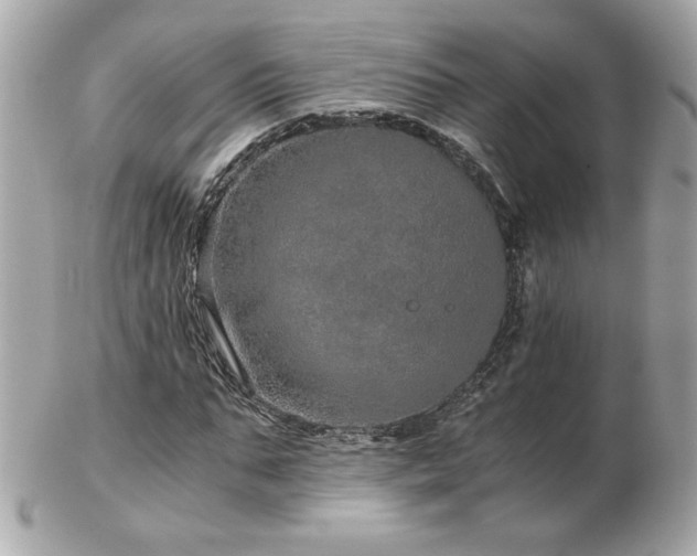 X0000103270871200808291238