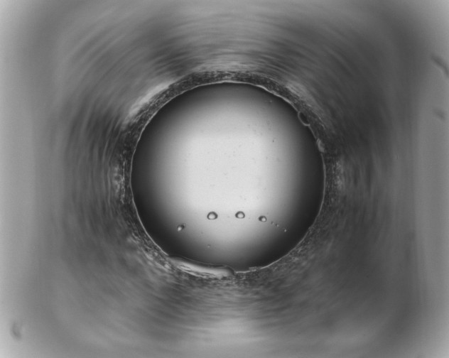 X0000103270872200808291238