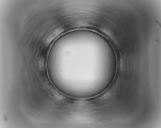 X0000103270873200808291238