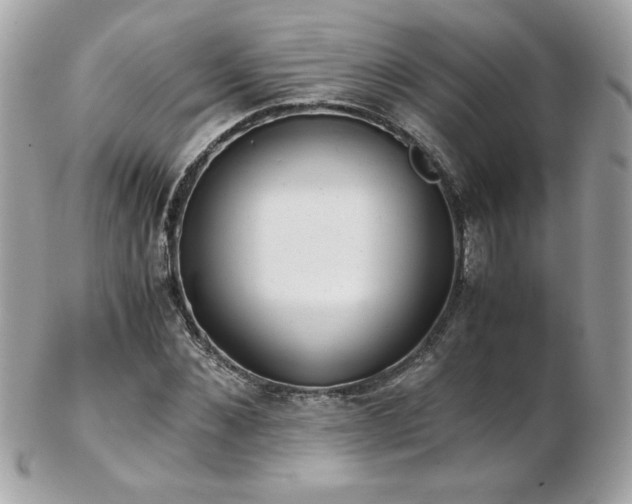 X0000103270876200808291238