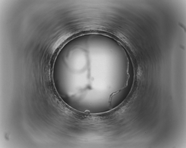 X0000103270877200808291238