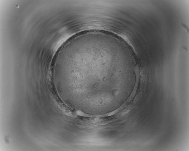 X0000103270879200808291238