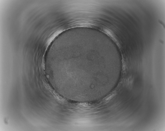 X0000103270883200808291237