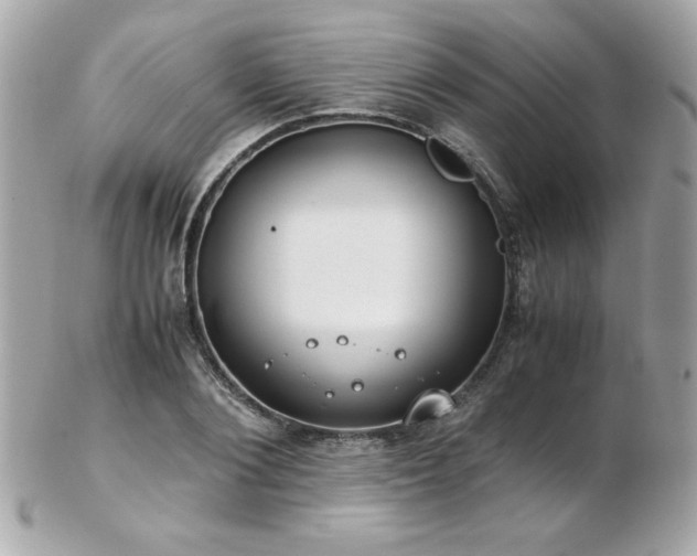 X0000103270884200808291237