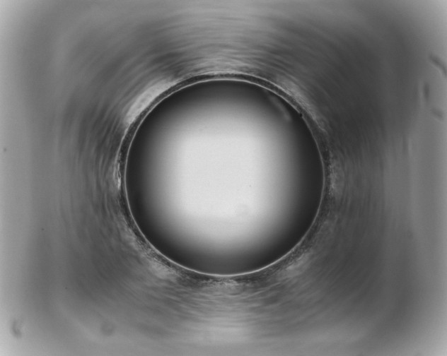 X0000103270885200808291237