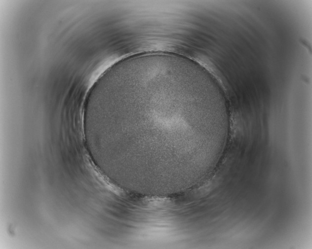 X0000103270886200808291237