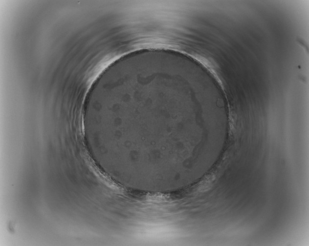 X0000103270887200808291237