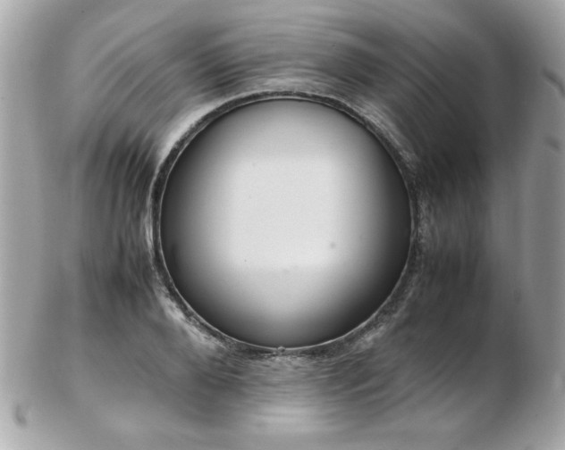 X0000103270888200808291237