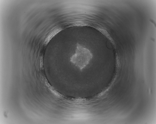 X0000103270889200808291237