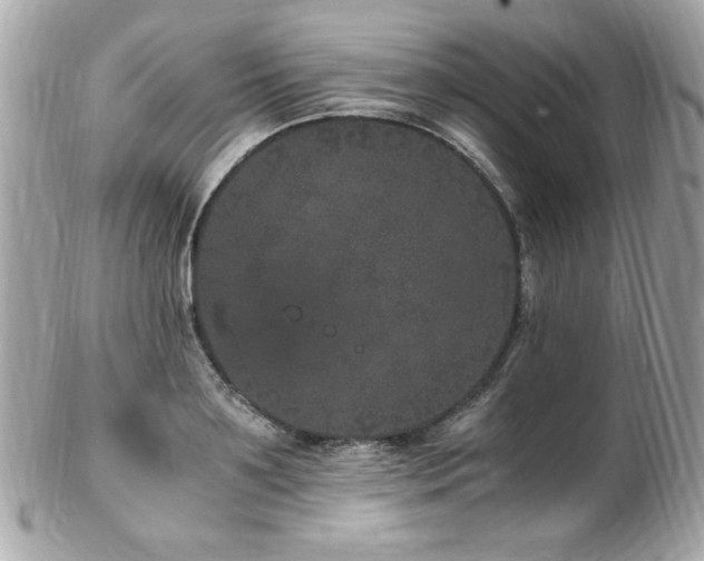 X0000103270891200808291237