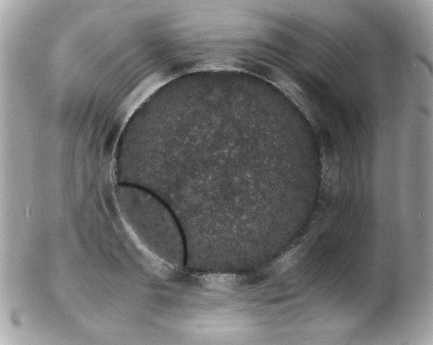 X0000103270893200808291237