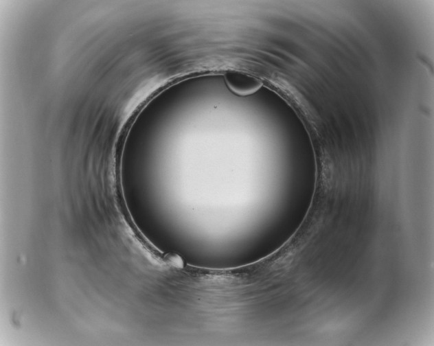 X0000103270894200808291237