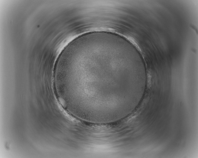 X0000103270895200808291237