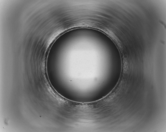 X0000103270896200808291237