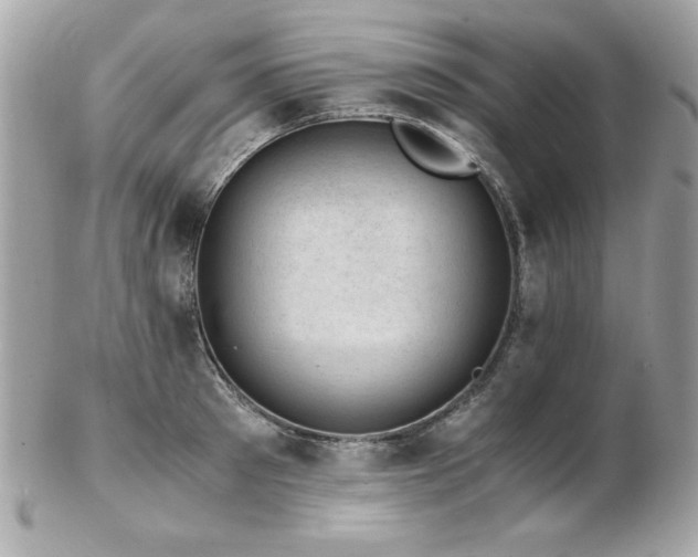 X0000103270897200808291237