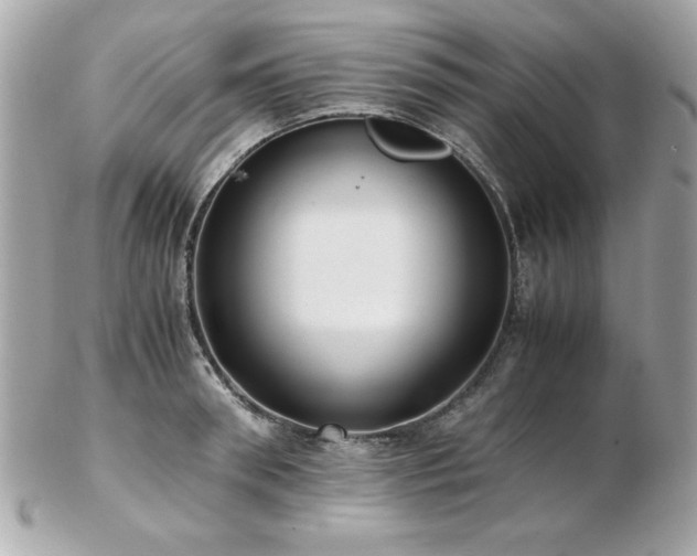 X0000103270898200808291237