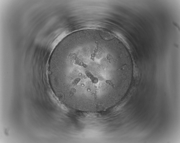 X0000103270899200808291237