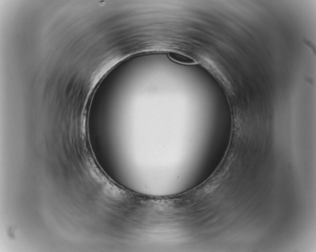 X0000103270900200808291237