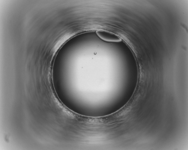 X0000103270901200808291237