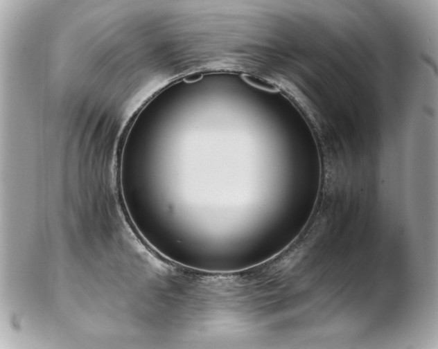 X0000103270902200808291237