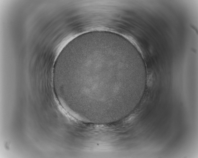 X0000103270903200808291237