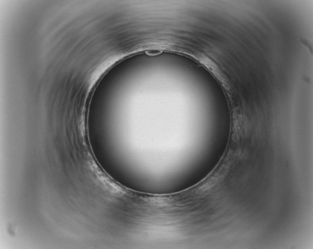 X0000103270904200808291237