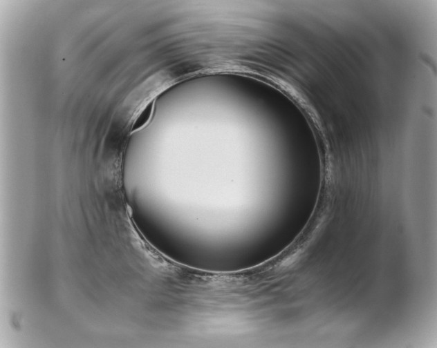 X0000103270905200808291237