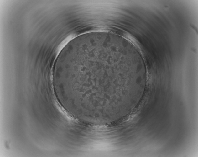 X0000103270907200808291237