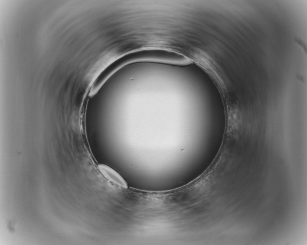 X0000103270908200808291237