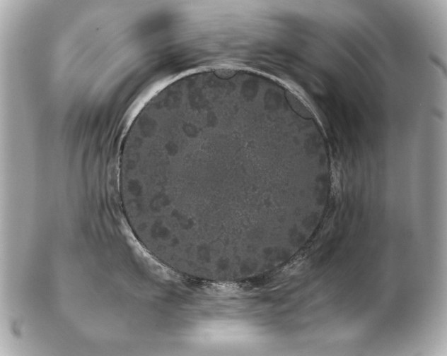 X0000103270911200808291237