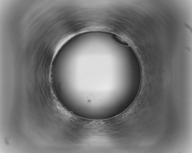 X0000103270912200808291237