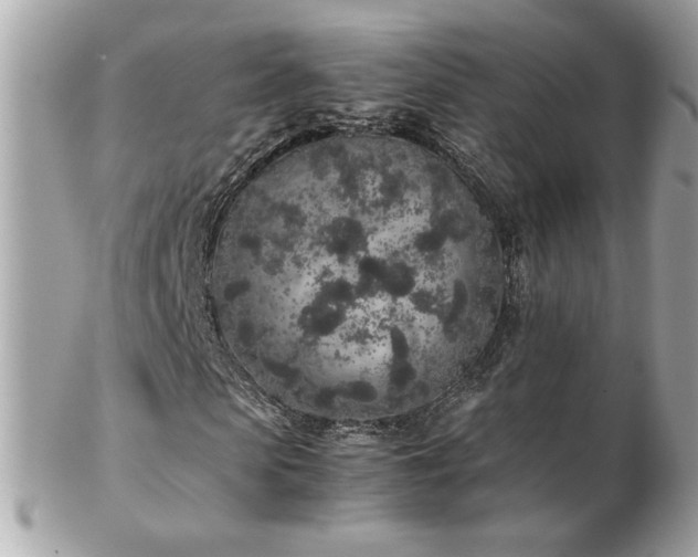 X0000103270913200808291236