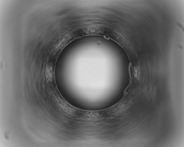 X0000103270915200808291236