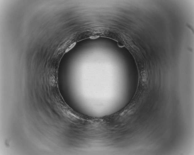 X0000103270916200808291236