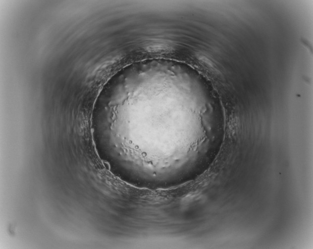 X0000103270917200808291236