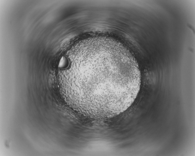 X0000103270918200808291236