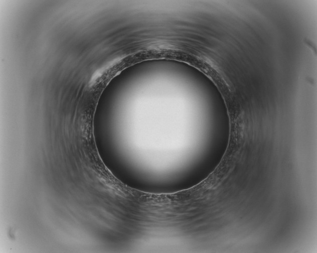 X0000103270919200808291236