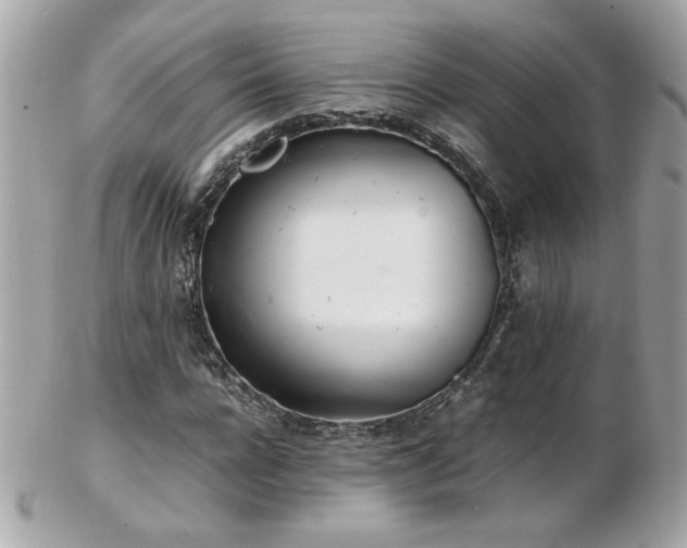 X0000103270920200808291236